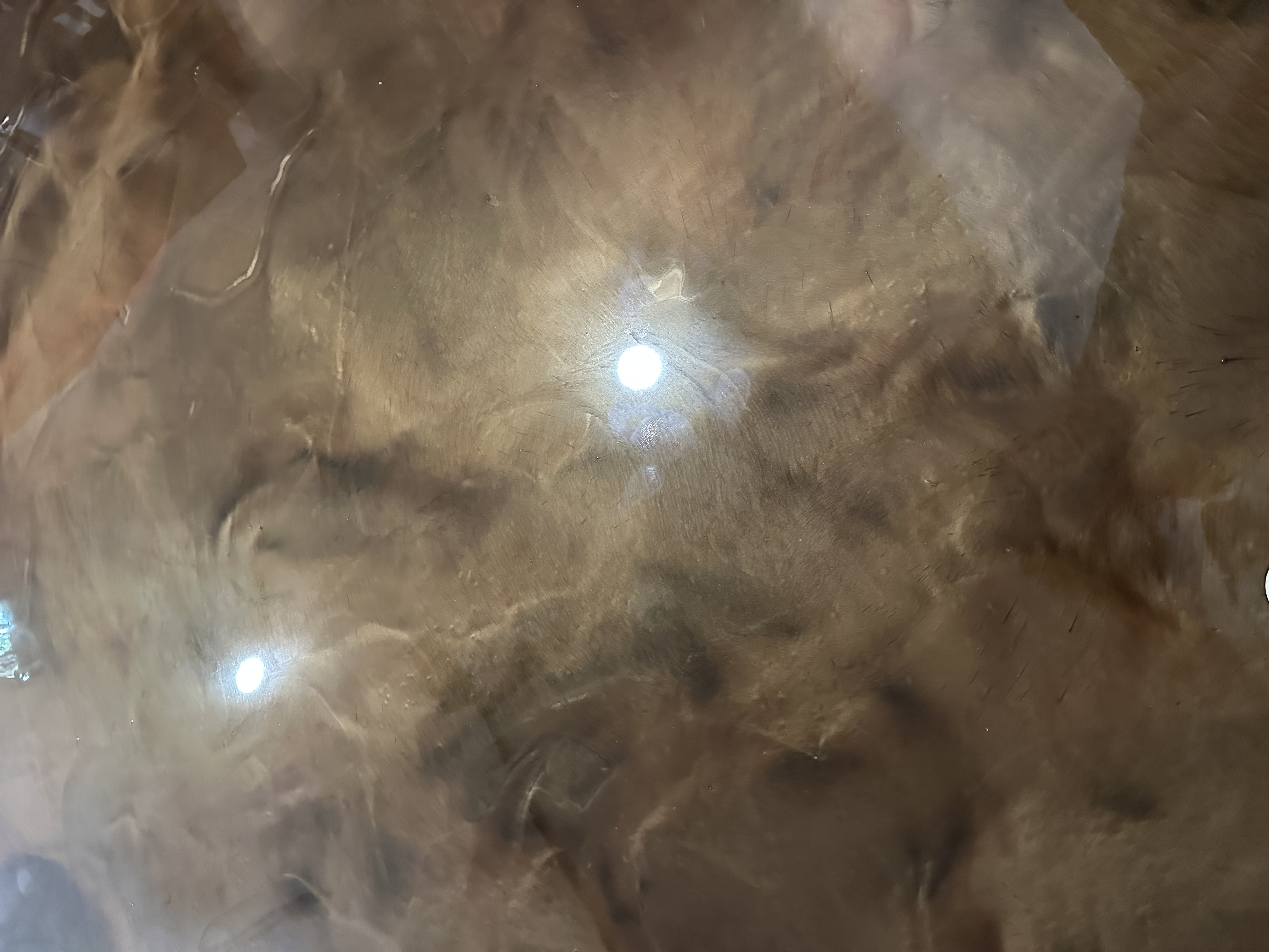 Surface coating project